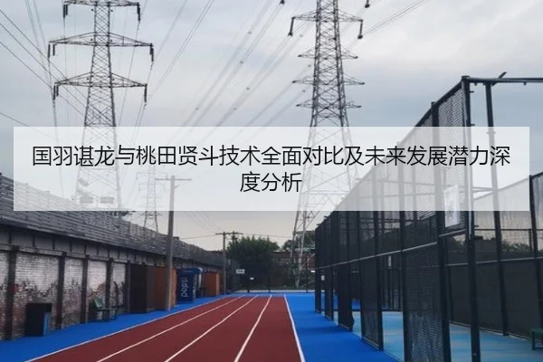 国羽谌龙与桃田贤斗技术全面对比及未来发展潜力深度分析